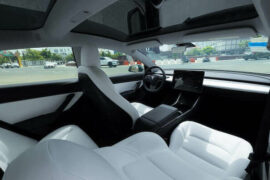 Best Way To Protect and Clean White Tesla Seats